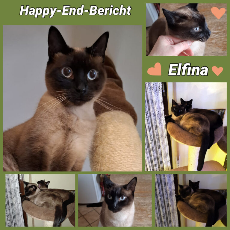 Happy End Elfina