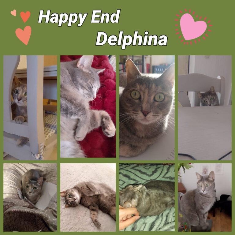 Happy End Delphina