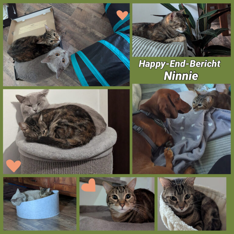 Happy End Ninnie