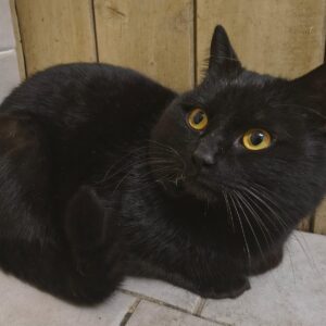 Neue Namenspatenschaft April-01