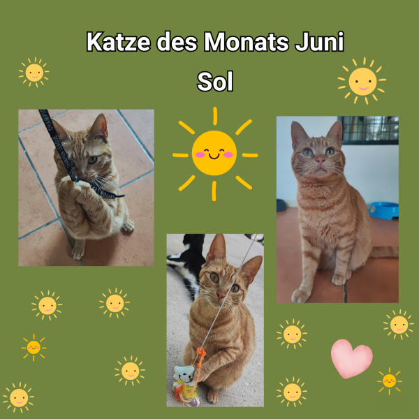 SOL